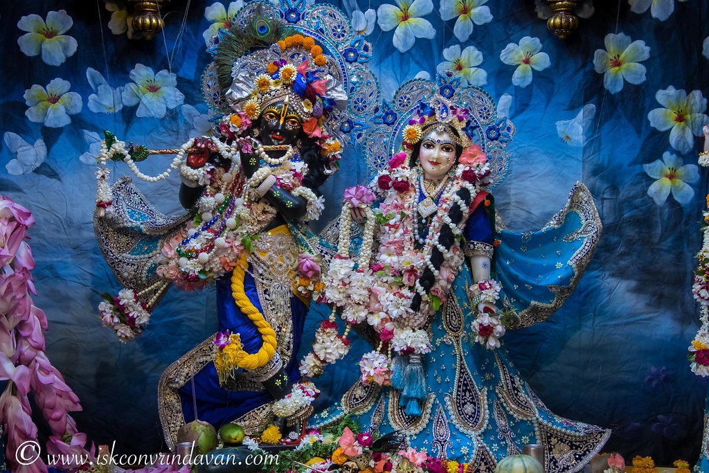 48084967691_086e58e535_b